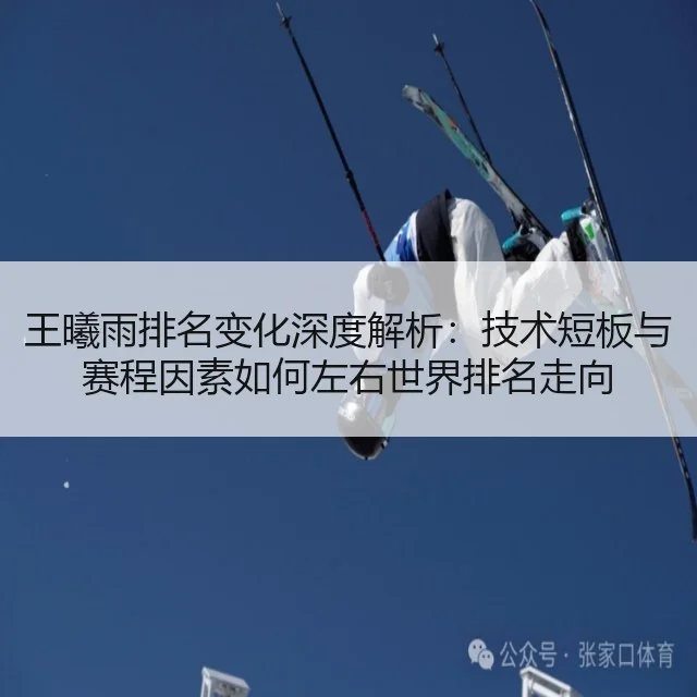 王曦雨排名变化深度解析：技术短板与赛程因素如何左右世界排名走向（9game）